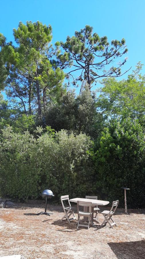 סן ז'אן דה מון La Foret Des Rossignols - Maison 2 Chambres, Jardin Et Terrasse מראה חיצוני תמונה